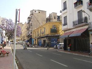 oran 256
